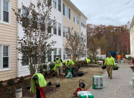 BCLS Landscape Services Prepares Your Commercial Property for the Spring Season