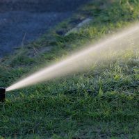Do You Know the Truth about Watering Your VA Lawn & Landscape